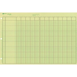 Rediform National Side Punched Analysis Pad - 50 Sheet(s) - Gummed - 11" x 16.37" Sheet Size - Green - 1Pad