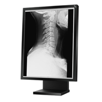 NEC Display MultiSync MD Series 21GS-2MP LCD Monitor - 21.3