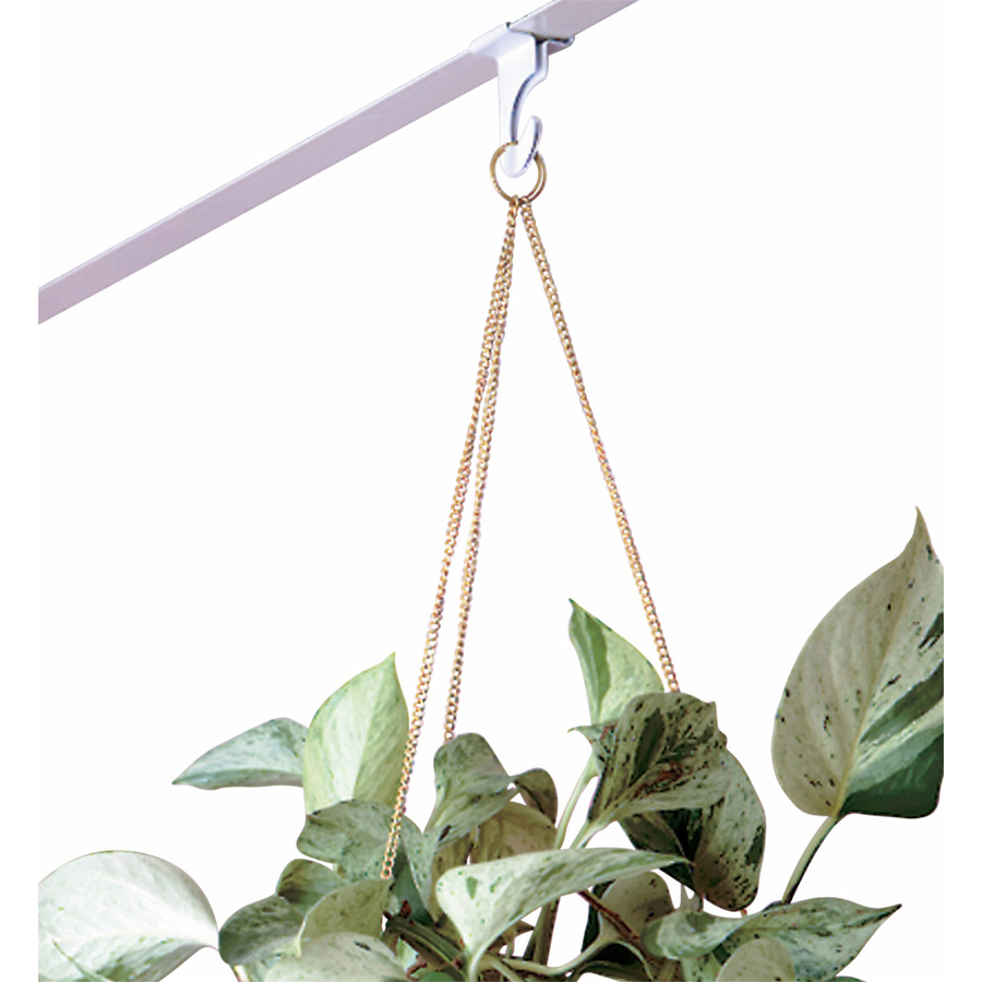 How To Install Ceiling Hooks For Hanging Plants