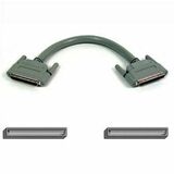 Belkin SCSI-3 Cable