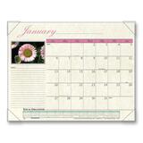 VISUAL ORGANIZERS - P890