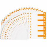 Smead AlphaZ NCC Color Coded Name Label SMD67157
