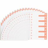Smead AlphaZ NCC Color Coded Name Label SMD67160