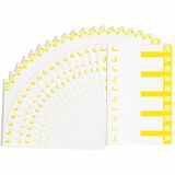 Smead AlphaZ NCC Color Coded Name Label SMD67161