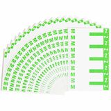Smead AlphaZ NCC Color Coded Name Label SMD67164