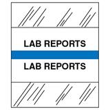 Tabbies Medical Chart Index Divider Tabs