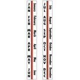 Tabbies Monthly Computer Printout Index Tabs