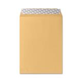19810 - Sparco Plain Self-Sealing Envelope