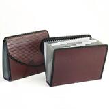 Esselte Pendaflex Professional 13-Pockets Expanding Spiral File