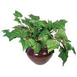Nu-Dell Medium Green Potted Plant - Mixed - Green, Mahogany