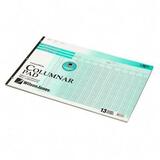Wilson Jones One Side Ruled Columnar Pads