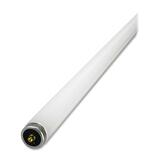 SLI Lighting Cool White Fluorescent Tube - 30545