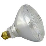 SLI Lighting Blown Glass Outdoor Floodlamp - 150W