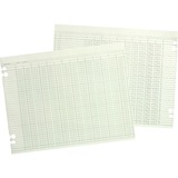 Wilson Jones Regular Ledger Sheets