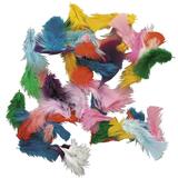Pacon Short Plume Feathers - Multicolor