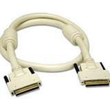 Cables To Go SCSI Cable - 6ft