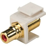 Steren RCA Jack to F Jack Keystone Modular Insert