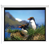 Draper Electrol Projection Screen 800005