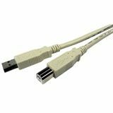 Cables Unlimited 10ft USB 2.0 Beige A to B Cable