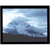 DRAPER, INC. Draper Onyx Fixed Projector Screen