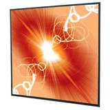 DRAPER, INC. Draper Cineperm Manual Wall and Ceiling Projection Screen