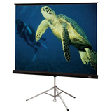 DRAPER, INC. Draper Diplomat/R 215016 Projection Screen