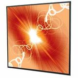 DRAPER, INC. Draper Cineperm Fixed Frame Projection Screen