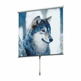 DRAPER, INC. Draper Luma Manual Wall and Ceiling Projection Screen