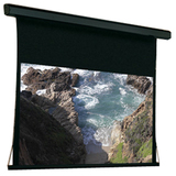 101171 - Draper Premier Electric Projection Screen