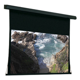 DRAPER, INC. Draper Premier 101273 Electric Projection Screen