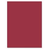 Nature Saver Smooth Texture Construction Paper NAT22300