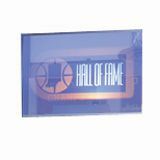 DA-LITE Da-Lite Holo Rear Projection Screen