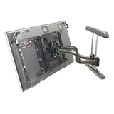Dual Swing Arm Mount