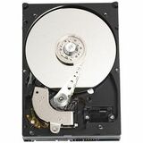 Western Digital Caviar Hard Drive