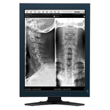 Eizo GX220-CL-P LCD Monitor