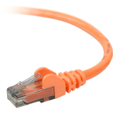 GENERIC Belkin Cat. 6 UTP Patch Cable