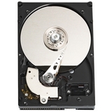 Western Digital Caviar SE WD4000AAJB Hard Drive