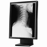 NEC Display MultiSync MD Series 21GS-2MP LCD Monitor - MD21GS2MPBKCB2