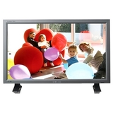 Samsung SyncMaster 320PX LCD Monitor