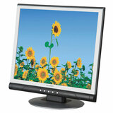 AOC-Envision Envision H190L LCD Monitor
