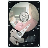 Seagate DB35 Series 7200.3 ST3160215ACE Hard Drive