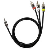 3.5MM Plug to RCA/Video Cable - 6 Foot
