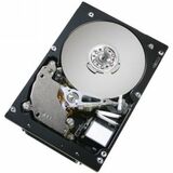 Hitachi Ultrastar 10K300 HUS103014FLF210 Hard Drive