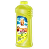 P&G Mr. Clean All-purpose Cleaner