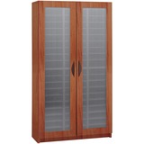 Safco 9355 Frosted Door Literature Organizer