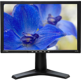 DoubleSight Displays DS-245W WideScreen LCD Monitor - DS245W