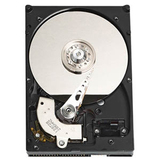 Western Digital Caviar Hard Drive