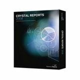 Business Objects Crystal Reports 2008