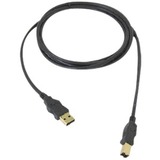 SIIG Hi-Speed USB A to B Cable - 3M CB-0000C1-S1