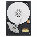 20PK 250GB PATA 7200 RPM 3.5IN